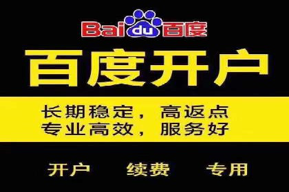 百度推广代理商成功案例：某行业巨头背后的推手