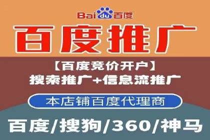 百度竞价代理的运营策略与成功案例分析
